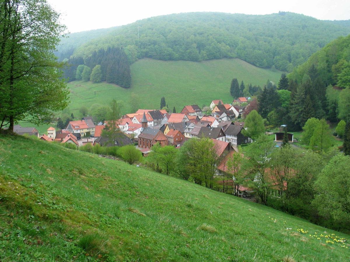 Haus Hirtenbergblick Lonau エクステリア 写真